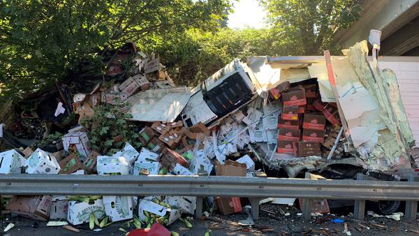 Semi-truck carrying vegetables takes out guard rail, ends up under overpass in Tukwila