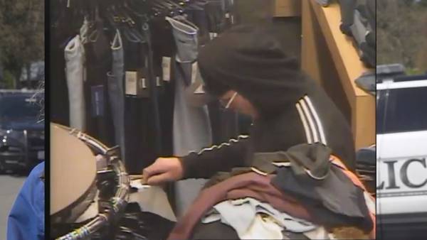 Robbery suspect attacks employee at Lynnwood Nordstrom Rack