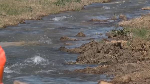 VIDEO: New report says more must be done to clean up waterways