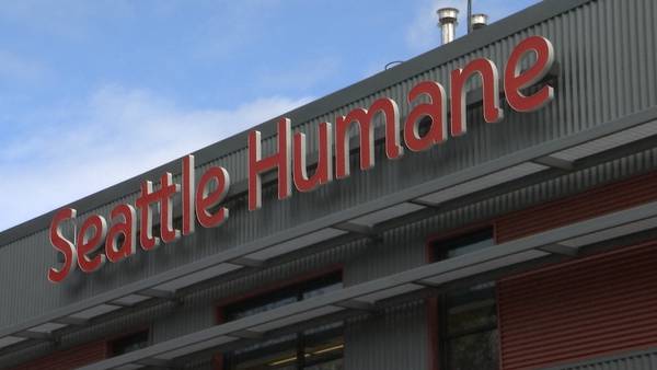 Seattle Humane Society struggles with pet food shortages 
