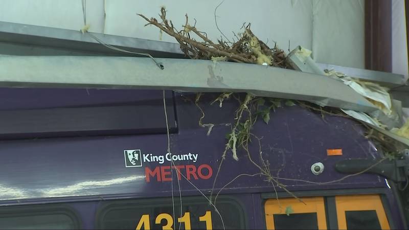 A Metro bus crashed into an indoor skate park near Seattle's Yesler Terrace neighborhood on Jan. 24, 2024.