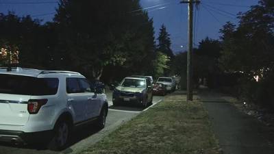 Witness sees aftermath of violent attack as SPD continues search for group of robbers