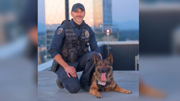 ‘Good dog’:  Bellevue Police Department’s K9 Walter catches suspect involved in an incident 