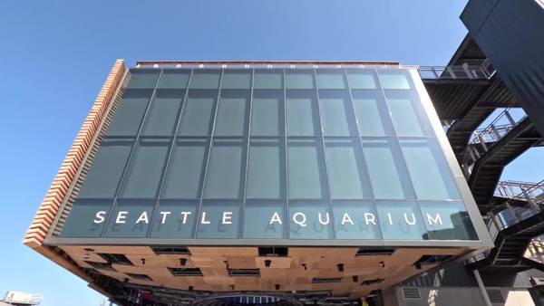 Seattle Aquarium's Ocean Pavilion sign installation timelapse