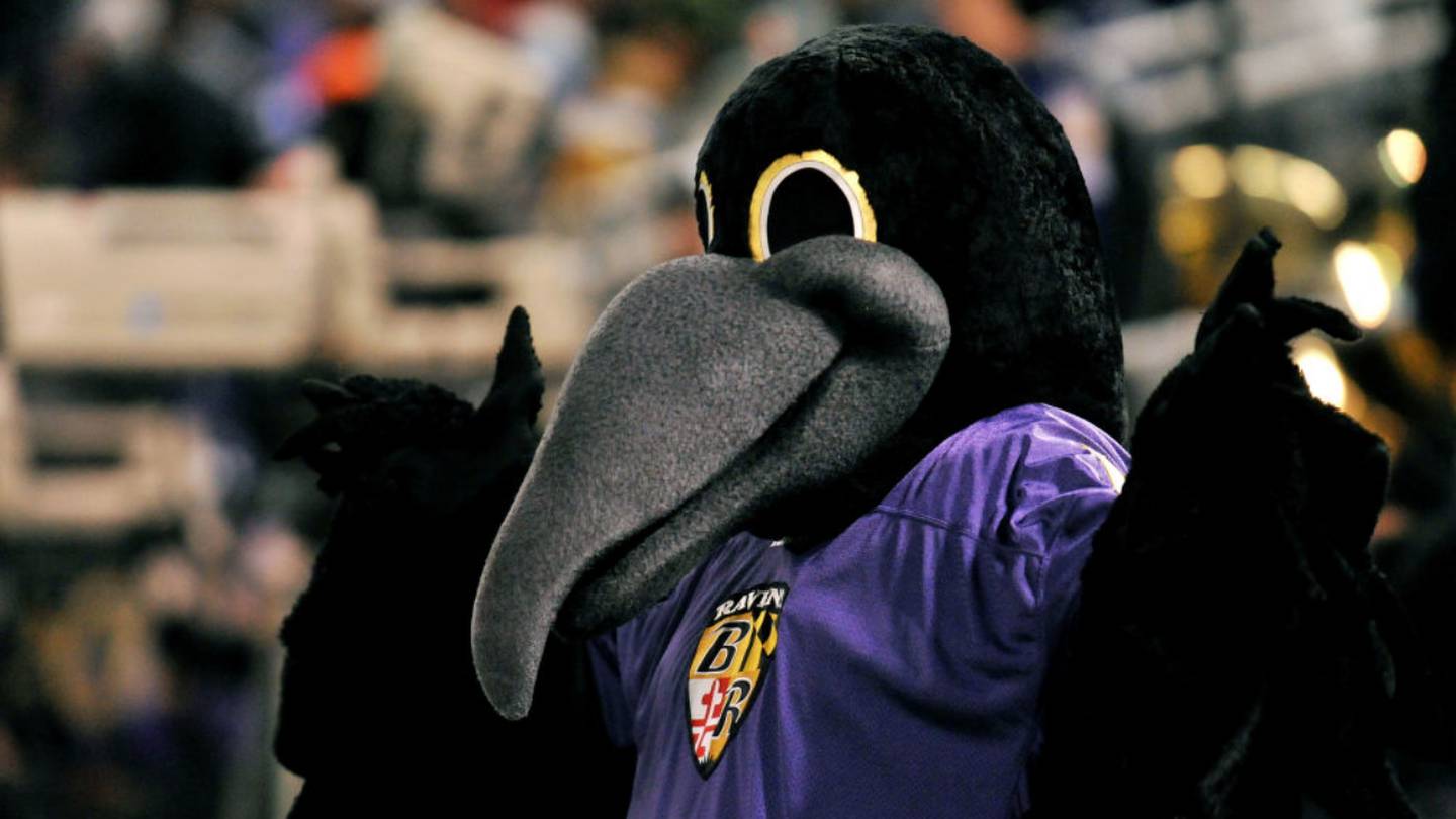 the drumstick injury heard around the world… #ravens #mascot #nfl