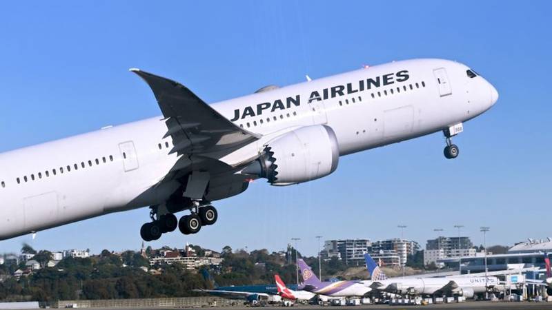 The weight of the wrestlers forced Japan Airlines to schedule an extra flight.