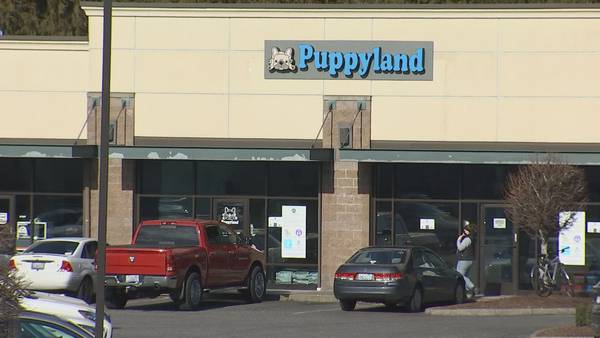 Puppyland hit with lawsuit over alleged predatory loans and sale of sick dogs, says Attorney General