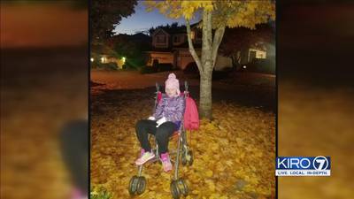 Stroller for special needs teen stolen from Lynnwood family