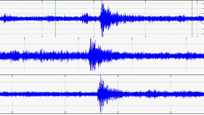 Fans cheering Sounders goals at Champions Final registers on earthquake monitors