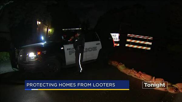 VIDEO: Police patrolling Bellevue neighborhood hit by slide after looter targets home