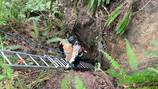 Firefighters rescue dog from abandoned mine in Pierce County