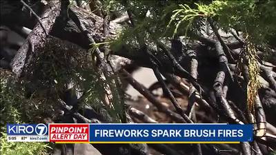Fireworks Spark Brush Fires