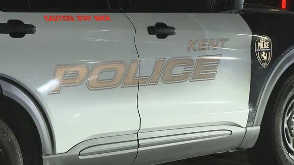 Kent officer uses car to stop suspect in domestic violence kidnapping