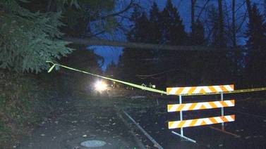 Wind whips through Cascade foothills, toppling trees, cutting power