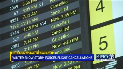 Snow causing delays and cancellations for SEA airport travelers