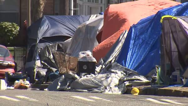 VIDEO: City Council passes Edmonds camping ban