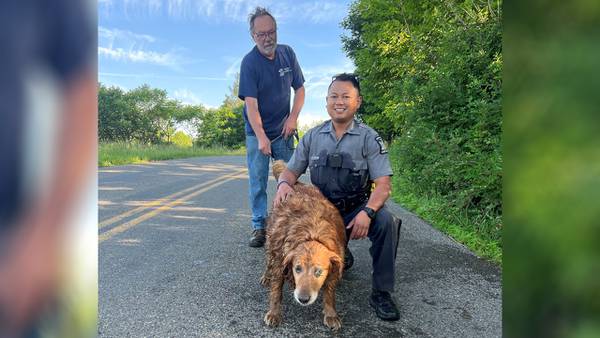New York trooper crawls into underground pipe to rescue missing dog