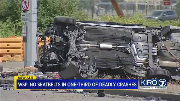 Washington drivers urged to buckle up after latest fatal crashes report