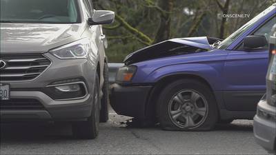 Two arrested after carjackings lead to wild police chase in South King County