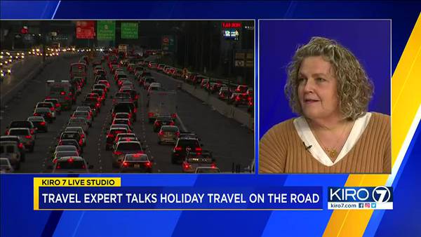 VIDEO: Travel expert shares tips to get ready for holiday travel rush