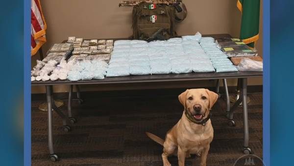More than $1.6 million worth of drugs, cash, guns and cars seized in major King County bust
