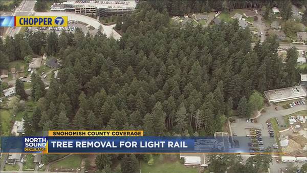 Thousands of trees will be cut to make way for Lynnwood light rail