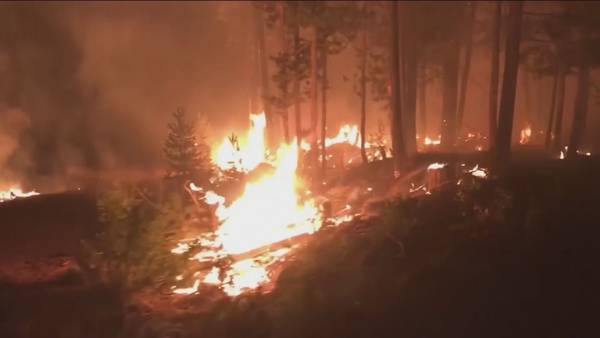 ‘Wildfire Ready Neighbors’ program expands to Thurston County