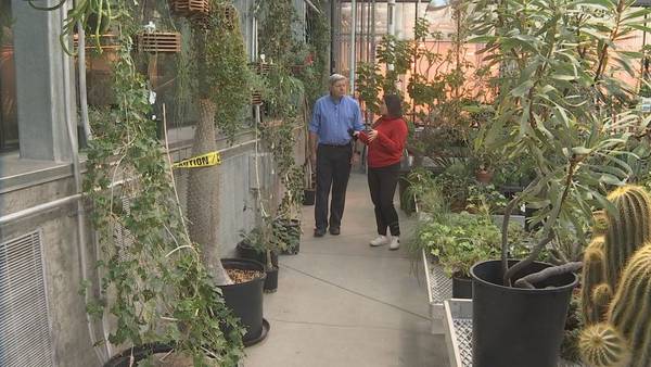 UW gets massive new greenhouse for its diverse plant collections
