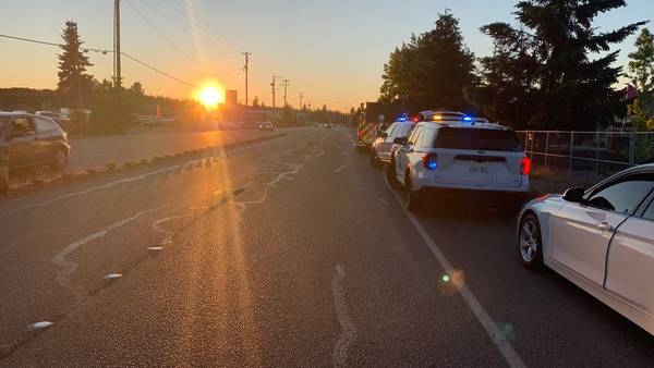 Person walking on shoulder killed in Spanaway hit-and-run