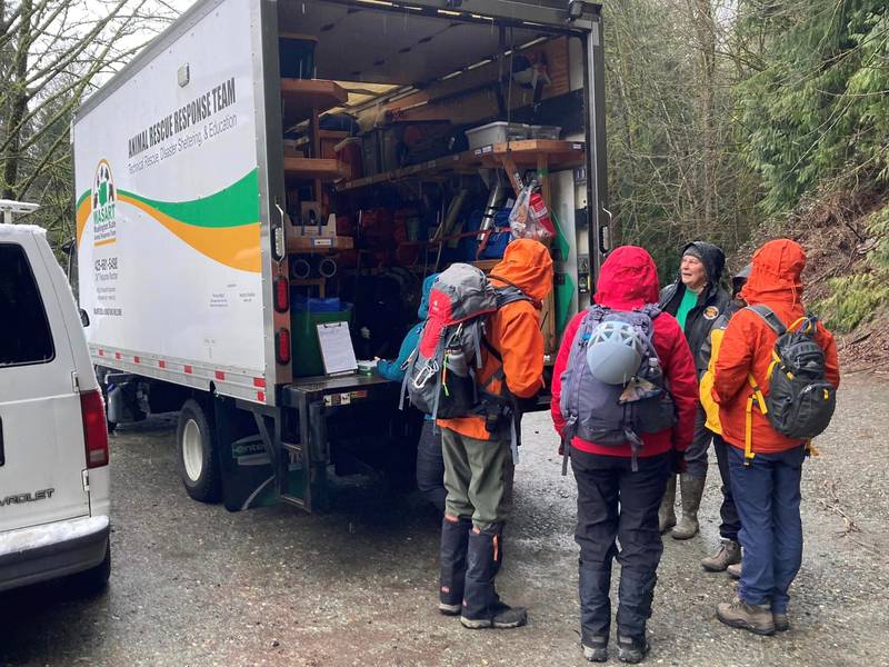 Quick thinking by rescuers helped save the life of a great Pyrenees mix named Yuki last week. The dog was stuck on a cliff ledge off the Pacific Northwest Trail in Whatcom County.