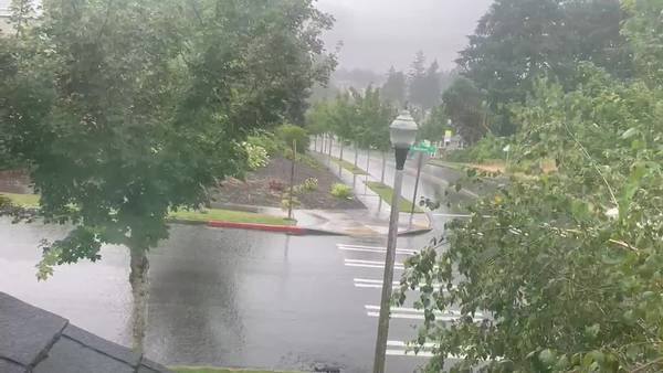 RAW: Thunderstorms bring power outages to Puget Sound