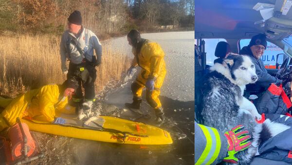 Dog rescued in Massachusetts after falling through ice