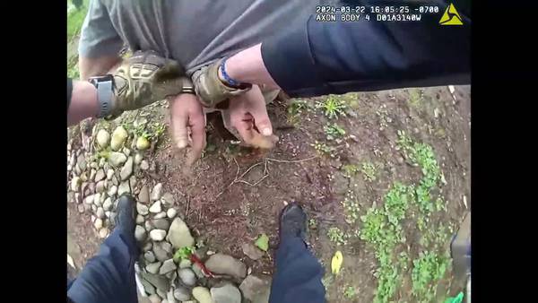 RAW: K9 chases suspect in Pierce County