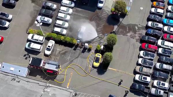 RAW: Edmonds electric car fire