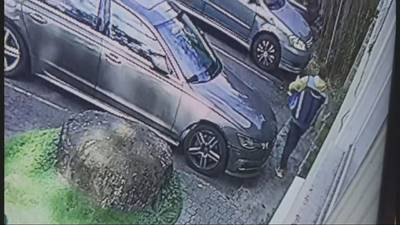 Brazen package theft caught on camera