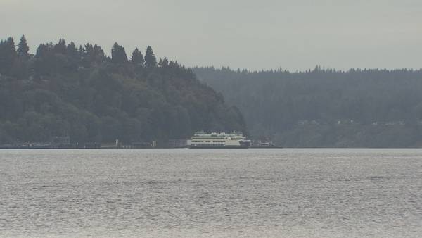 ‘The worst it’s ever been’: Vashon residents voice frustrations with troubled ferry route