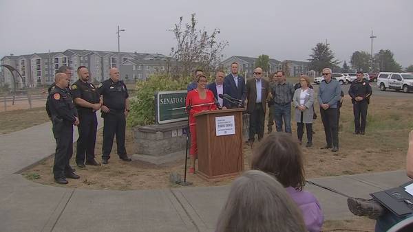 VIDEO: 15 Mayors band together to improve safety in Snohomish County