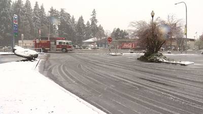 Lowland snow falls in parts of South Sound
