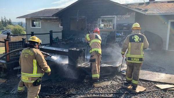 Spontaneous combustion of soil in flower pot sparks house fire