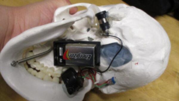 TSA finds ‘suspicious’ plastic skull in luggage at airport in Utah