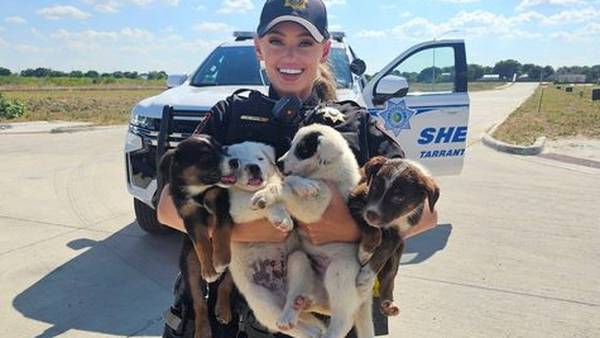 8 puppies rescued in 100 degree weather by deputies in Texas