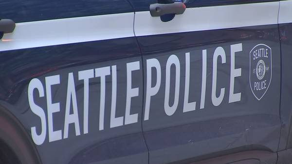 Seattle man allegedly breaks into home and steals car then gets road rage and shoots person