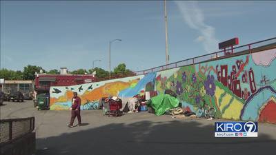One block away from Lake City homeless camp cleanup, more encampments flourish