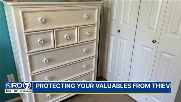 Protecting Your Valuables from Thieves