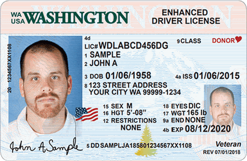 enhanced driver's license travel