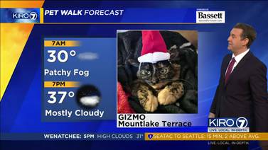 KIRO 7 Pet Walk Forecast for Wednesday, 11/29