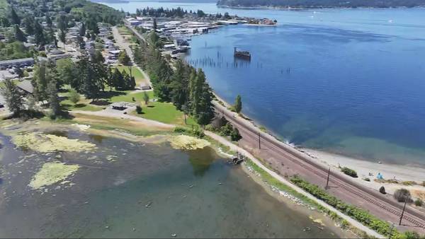 68-year-old man drowns in Tacoma lagoon after being sucked into drain pipe