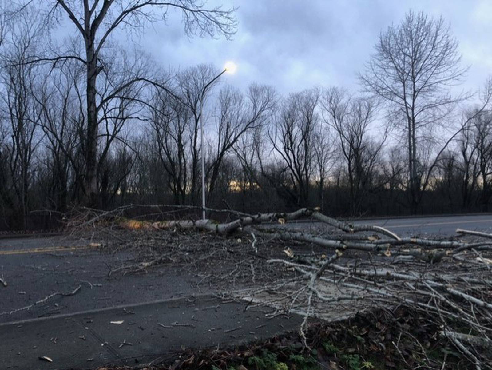 Windstorm Topples Trees Closes Highways Cuts Power To Thousands