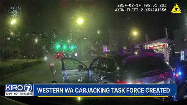 VIDEO: Western Washington carjacking task force