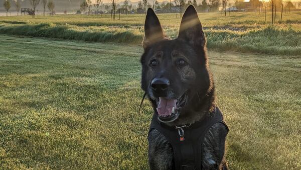 Snohomish County K9 locates stolen car key after chasing attempted car thieves